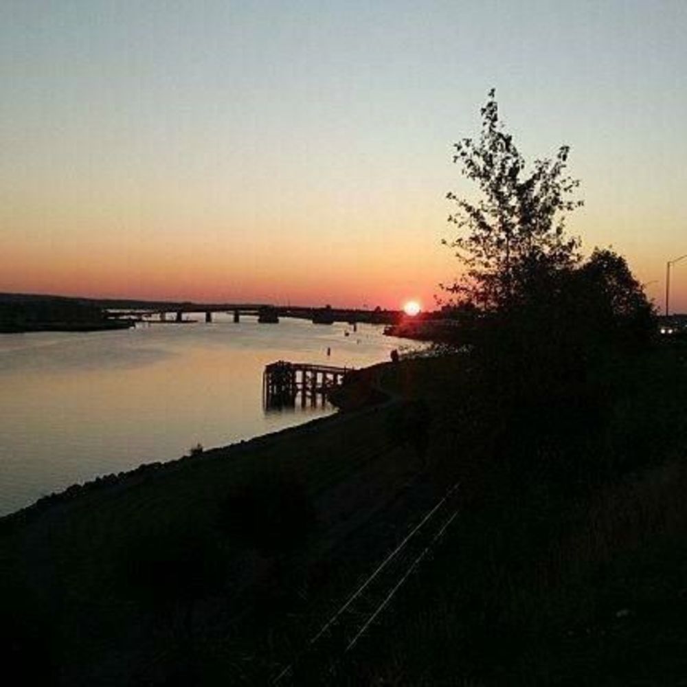 Meet your Posher, Estrella